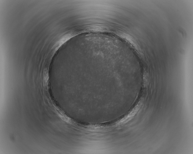 X0000111881065200908131629