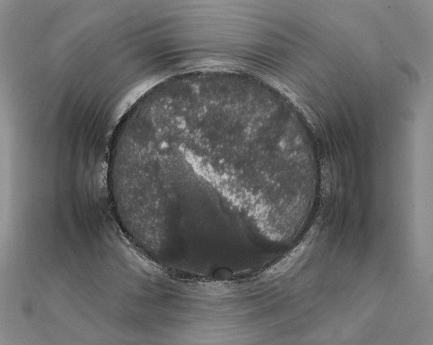 X0000111881066200908131629