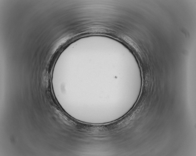 X0000111881067200908131629