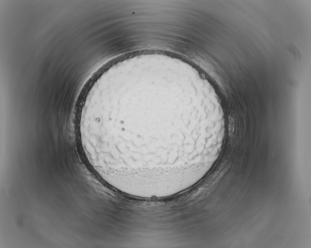 X0000111881068200908131629