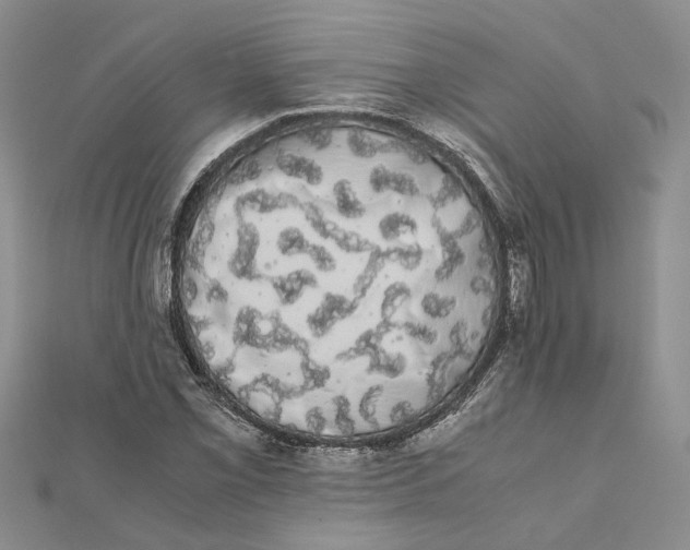 X0000111881069200908131629