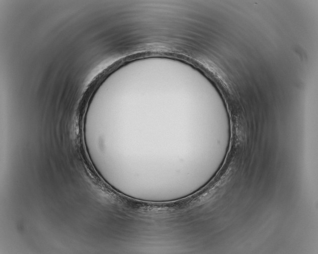 X0000111881070200908131629