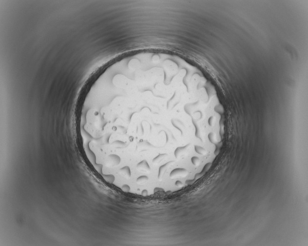 X0000111881072200908131629