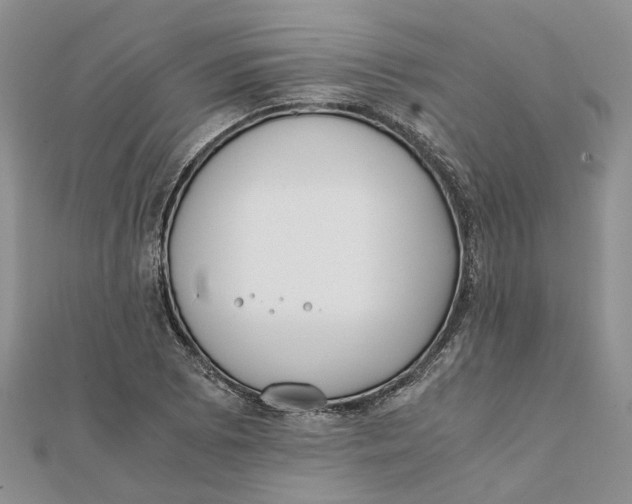 X0000111881073200908131629