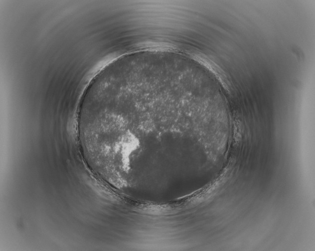 X0000111881074200908131629