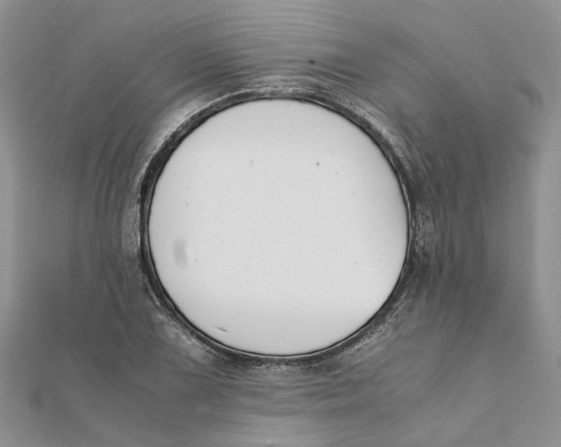 X0000111881075200908131629