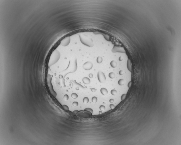 X0000111881076200908131628