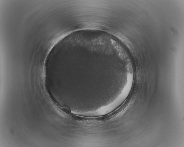 X0000111881077200908131628