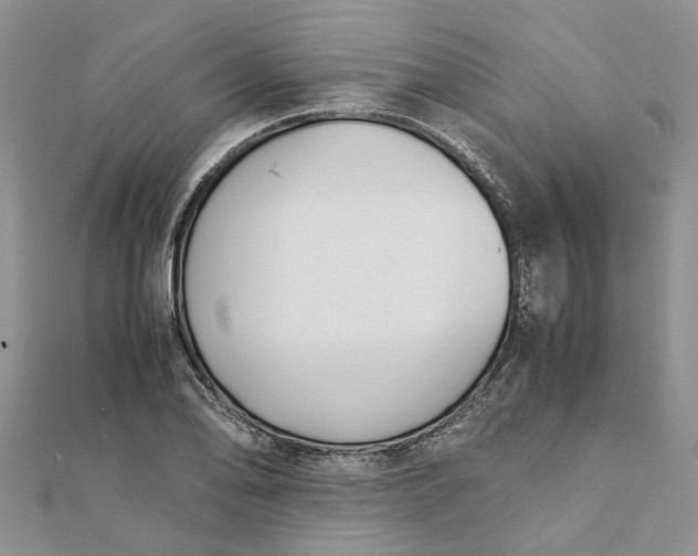 X0000111881078200908131628