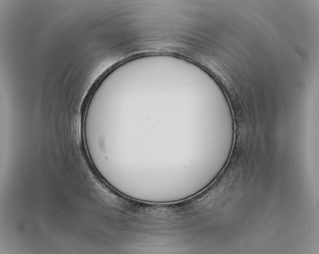 X0000111881079200908131628