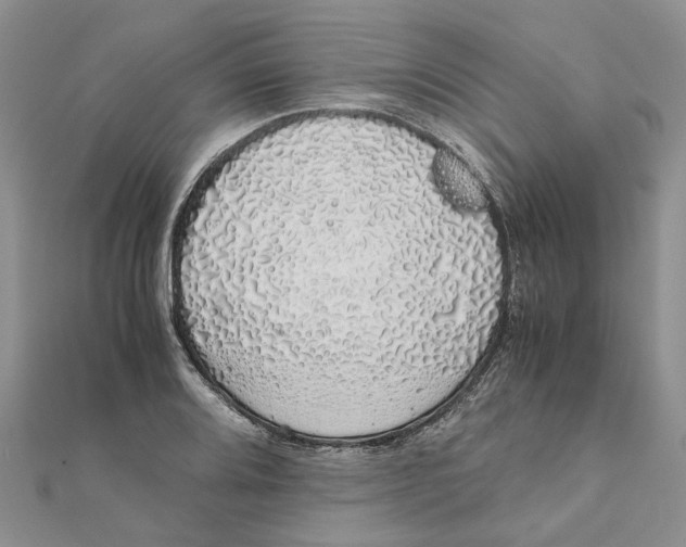 X0000111881080200908131628