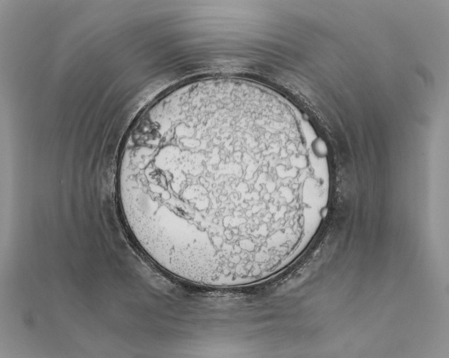 X0000111881081200908131628