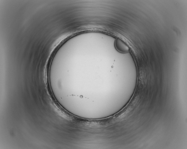 X0000111881082200908131628