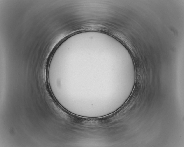 X0000111881083200908131628