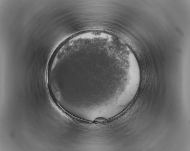 X0000111881084200908131628