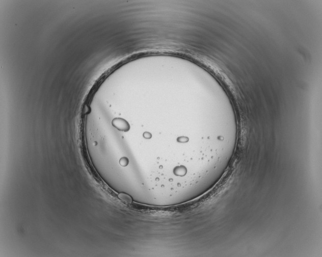 X0000111881085200908131628