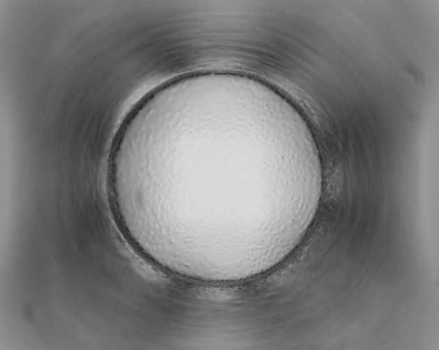 X0000111881086200908131628