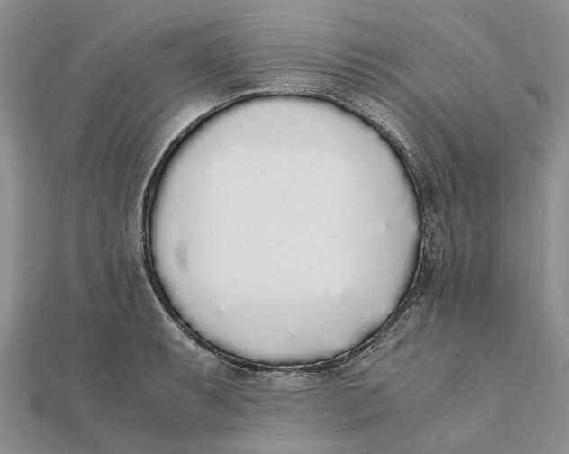 X0000111881087200908131628