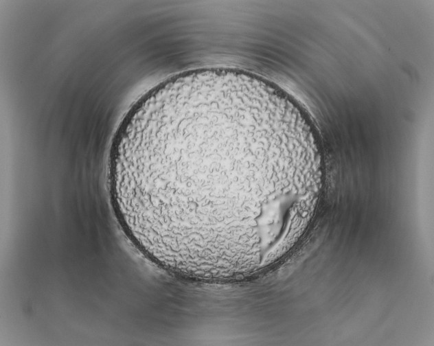 X0000111881088200908131628