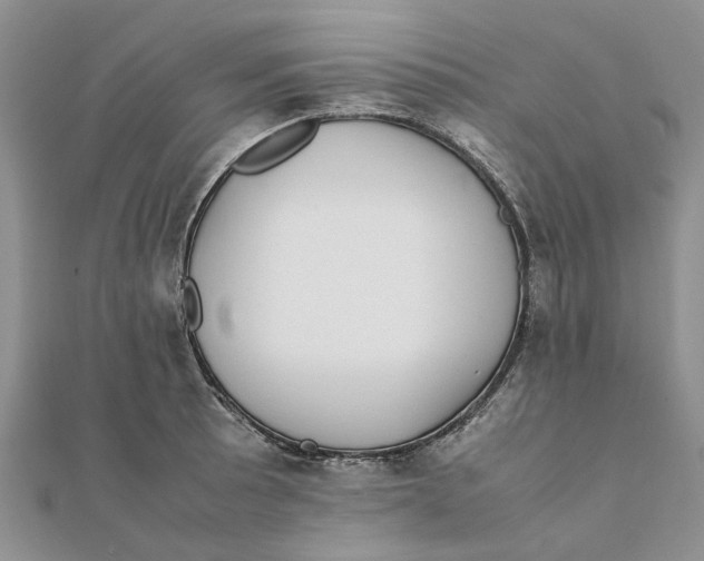 X0000111881089200908131628