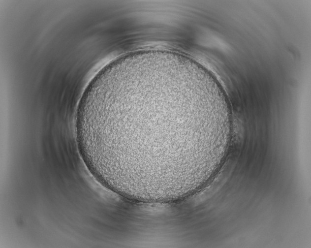 X0000111881090200908131628