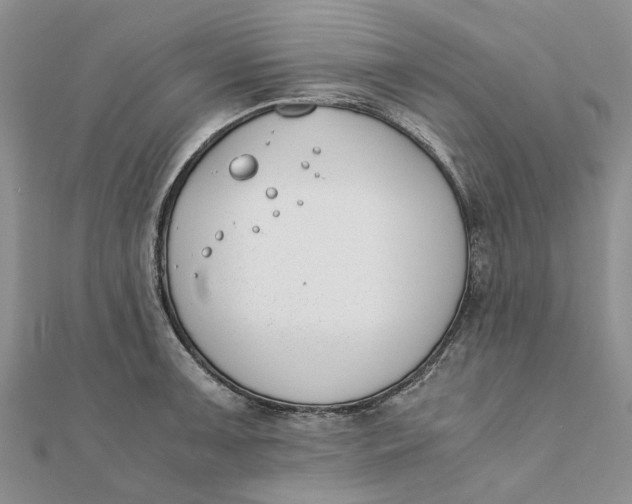 X0000111881091200908131628