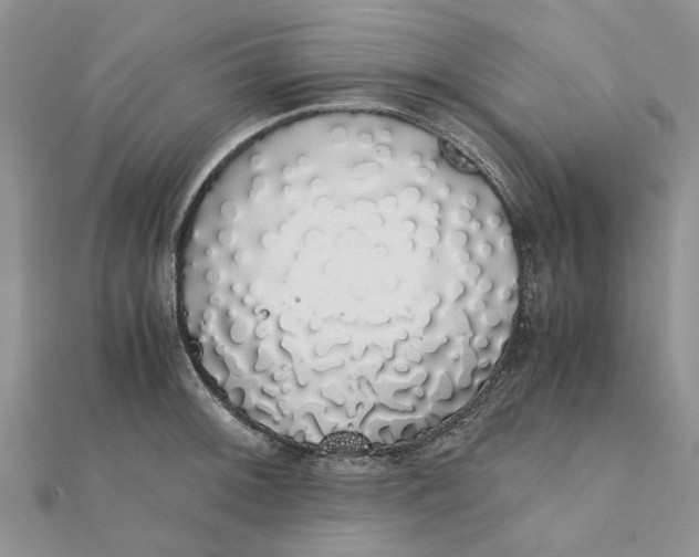 X0000111881092200908131628