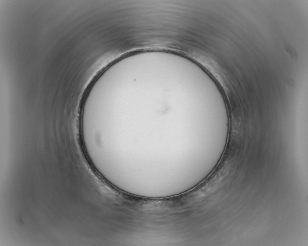 X0000111881093200908131628