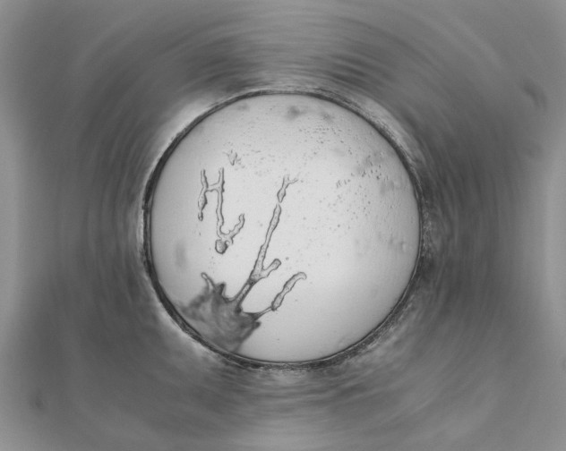 X0000111881095200908131628