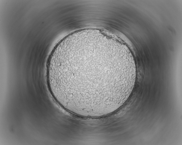 X0000111881096200908131628