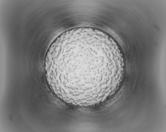 X0000111881097200908131628