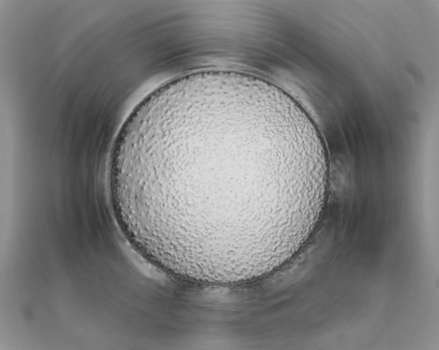 X0000111881098200908131628