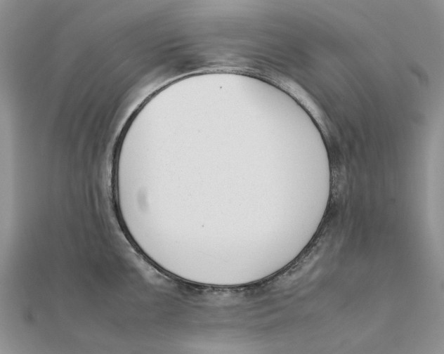 X0000111881099200908131628