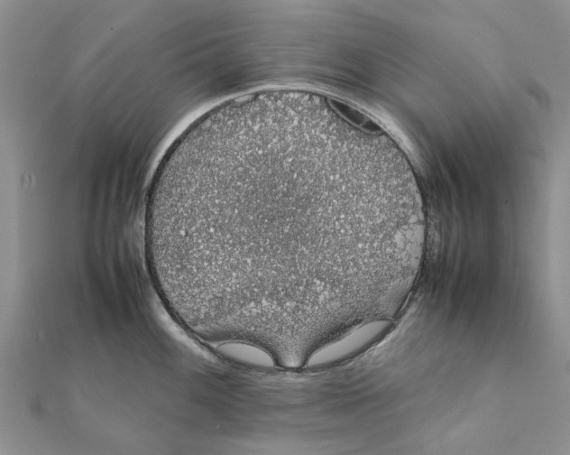 X0000111881100200908131628