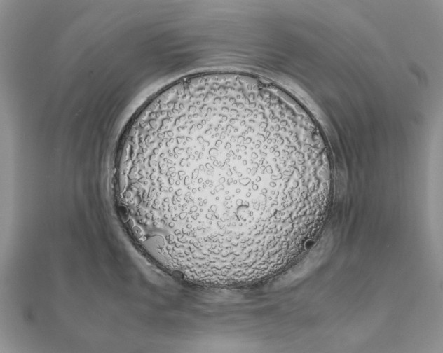 X0000111881101200908131628