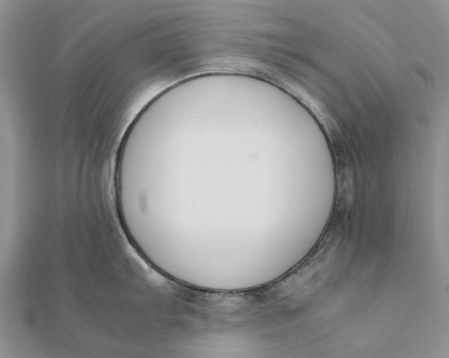 X0000111881103200908131628