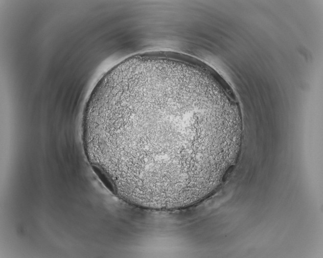 X0000111881104200908131628