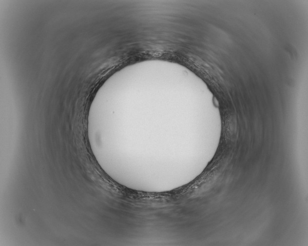 X0000111881105200908131628