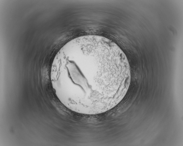 X0000111881106200908131628