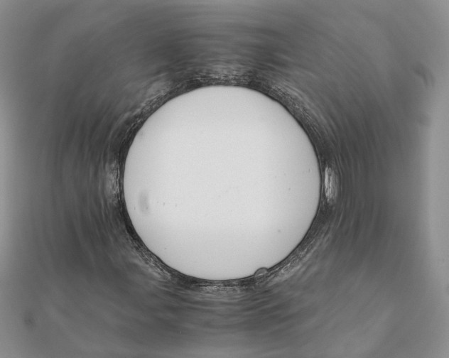 X0000111881107200908131628