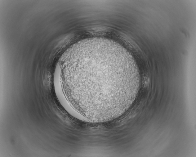 X0000111881108200908131628