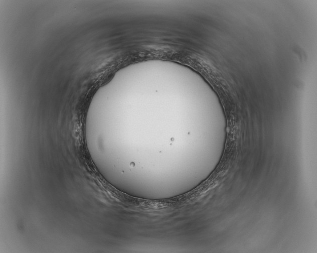 X0000111881109200908131628