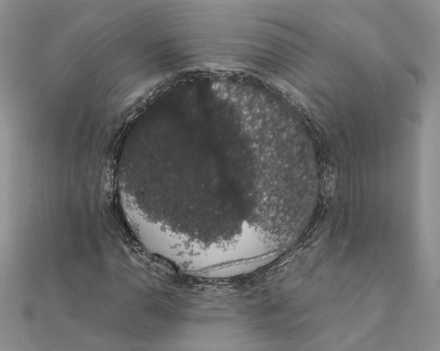 X0000111881110200908131628