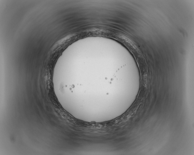 X0000111881111200908131628