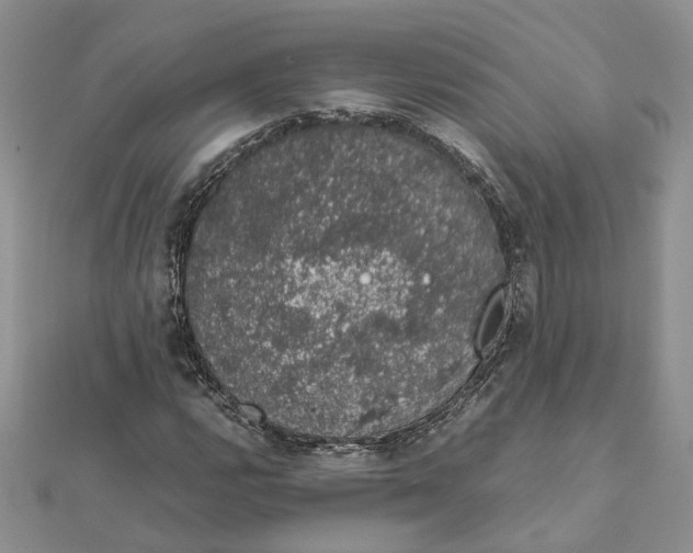 X0000111881112200908131628