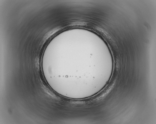 X0000111881113200908131628