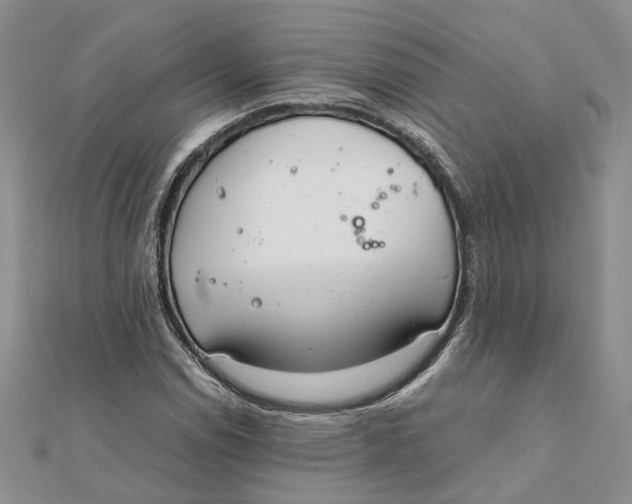 X0000111881114200908131628