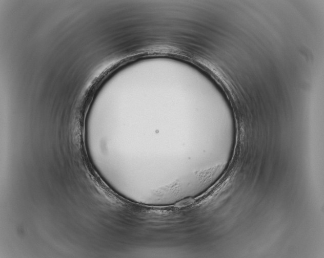 X0000111881115200908131628