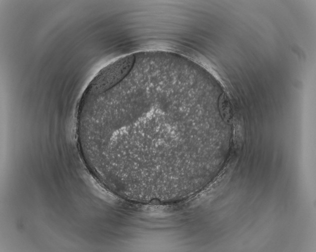 X0000111881116200908131628