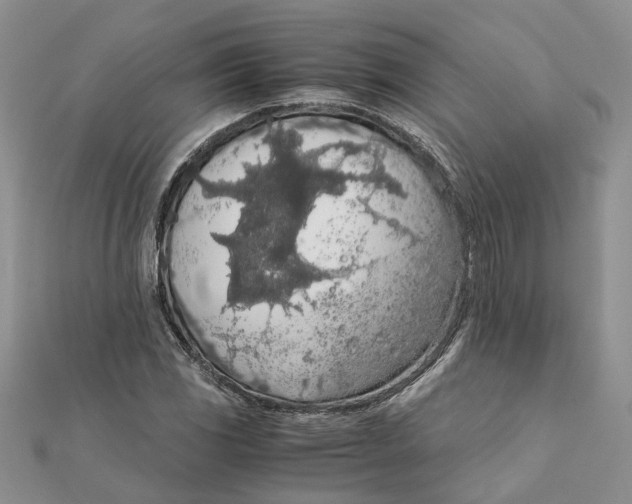 X0000111881117200908131628